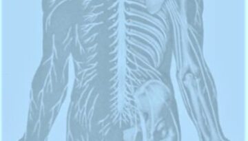 backpain-201411-1a
