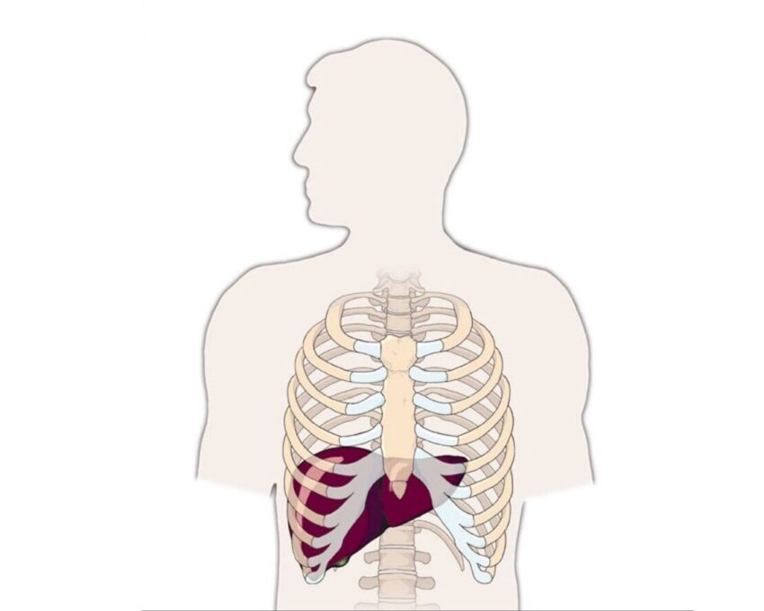 Liver Biopsy-122007