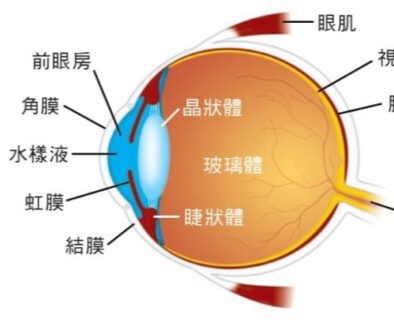 Conjunctivitis-30072025-3