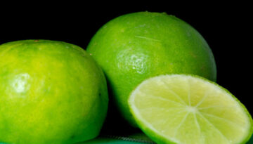 nutrition-11072026