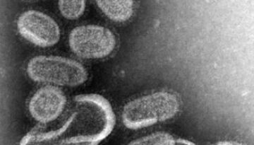 influenza-112001