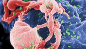 HIV-072005