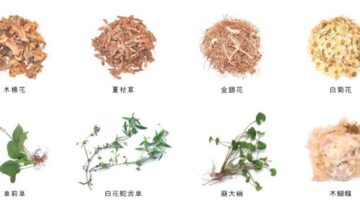 cm-062003-1 cm-062003-1