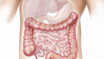colon colon