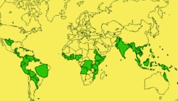 dengue-1