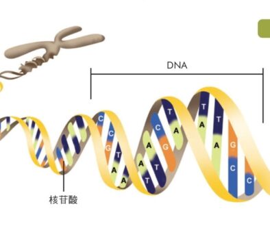 dna-082007