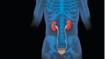 kidney-29092026