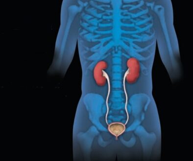 kidney-29092026