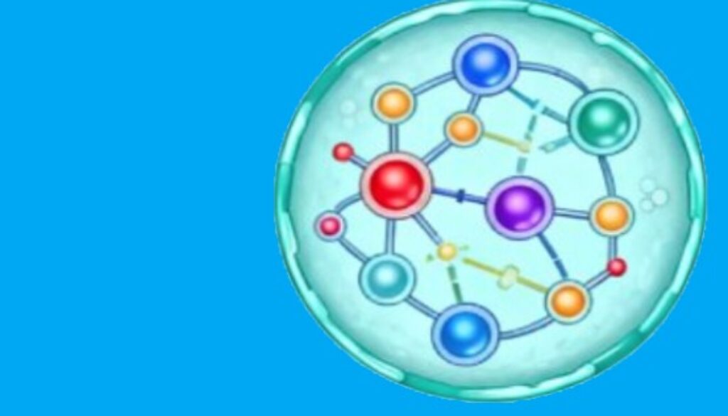 nutrition-24032026-1