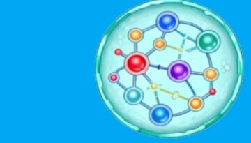 nutrition-24032026-1