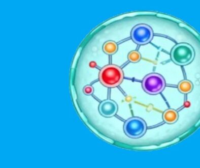 nutrition-24032026-1