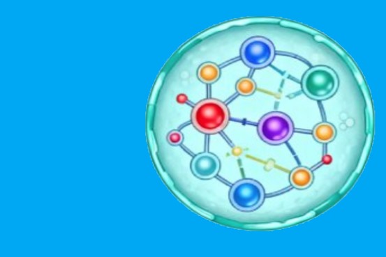 nutrition-24032026-1