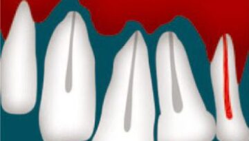 dental-092012