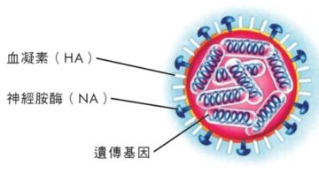 virus