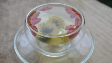 cp-022003 cp-022003